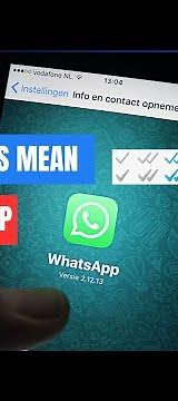 What Do the Check Marks in WhatsApp Mean