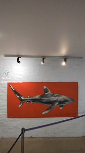 Come and see Oceanic 31 for free in our foyer! Explore 31 beautiful pieces all about 31 different species of sharks and rays. Find more info about our #summerofsharks through the link in our bio. 🦈🦈🦈 The Shark Trust #bristol #visitbristol #bristolaquarium #bristolart #sharks #rays | Bristol Aquarium
