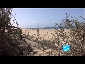 Libye - Reportage exclusif : La bataille de Brega