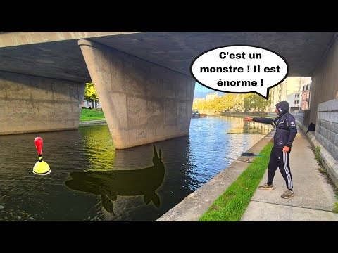 This SUBSCRIBER breaks his live bait record twice! (monster fish)