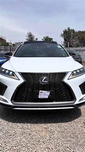 Exploring the Best Alternatives to the Prado