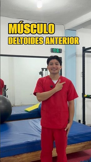 Función del músculo deltoides porción anterior. #fisioterapia #rehabilitacionfisica