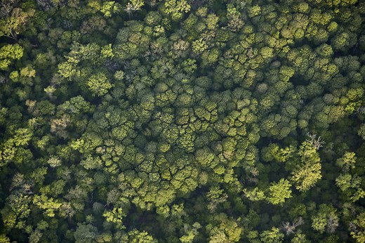 Internships - National Geographic Society