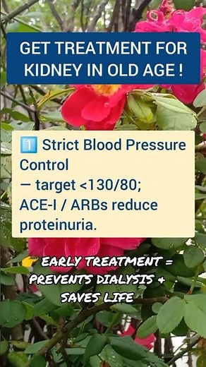 CKD Treatment Guide | What Really Helps Protect Your Kidneys