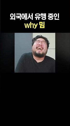 외국에서 유행 중인 why 밈