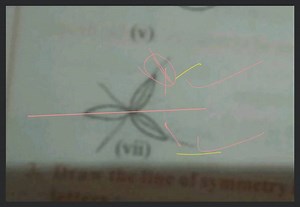 v-vii-aw-the-line-of-symmetry-3132313235343631