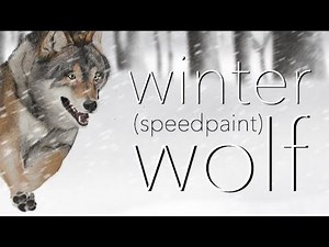 Winter Wolf - Speedpaint