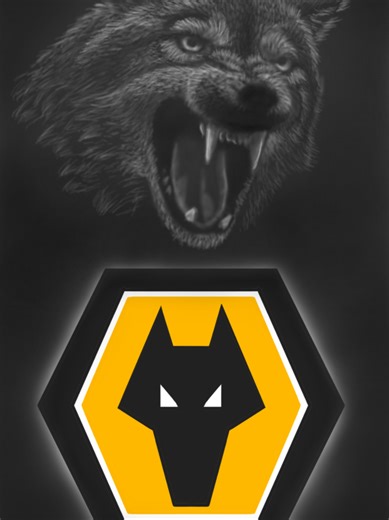 Recreating unique Wolverhampton Wonderers FC logo in Sketchbook Pro 🎨⚽️ Watch this digital art timelapse ad the Wolves badge comes to life stroke by stroke! From sketch to final crest - satisfying process & football design vibes. #wolvesfc #footballlogodesign #sketchbookpro #digitalarttimelapse @wolves