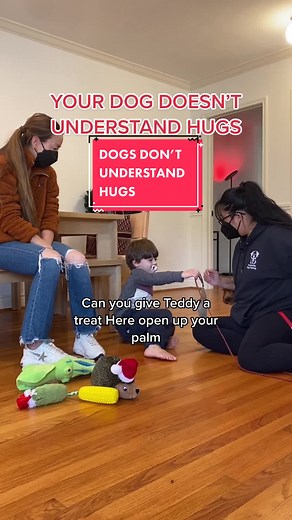 Understanding Dog Hugs: Tips for Successful Interactions