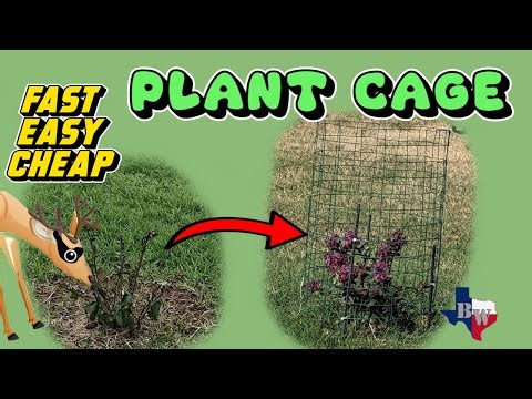 Easy to make plant cages / protect shrubs from deer