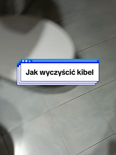 Poradnik jak wyczyścić muszę klozetową