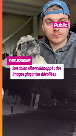 🚨 L’influenceur Cyril Schreiner, suivi par des millions de personnes sur les réseaux sociaux, dévoile les images « choc » du kidnapping de son bouledogue Albert et lance un appel à l’aide #cyrilschr #reseauxsociaux #actu #faitsdivers #people #actupeople #newspeople #public #celebrite #star #stars #gossip #actucelebrite #magazinepublic #public | Public
