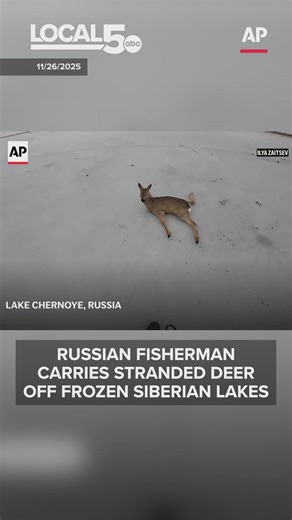 Russian fisherman carries stranded deer off frozen Siberian lakes