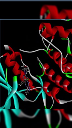 Ever wondered what a protein actually looks like? 🧬🔬 Check out this speed-up of me visualizing a protein structure using the software Chimera! It's amazing to see the intricate details and folds of these essential molecules. 🧪✨ #science #biology #chemistry #protein #chimera