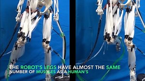 52K views · 604 reactions | Brush up on your anatomy, artists! #NewMastersAcademy #anatomy | New Masters Academy | Facebook