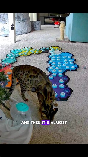 74K views · 2.1K reactions | So I think Mouse Toy fully intended to...