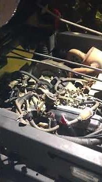 Carburetor Flooding out on a 2006 HPX Gator 4x4.