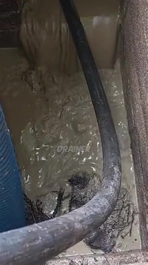 2.1K views | This box drain had not been opened in over 10 YEARS!...