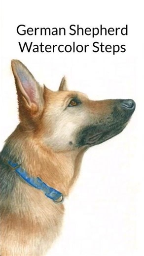 Watercolor GERMAN SHEPHERD Steps