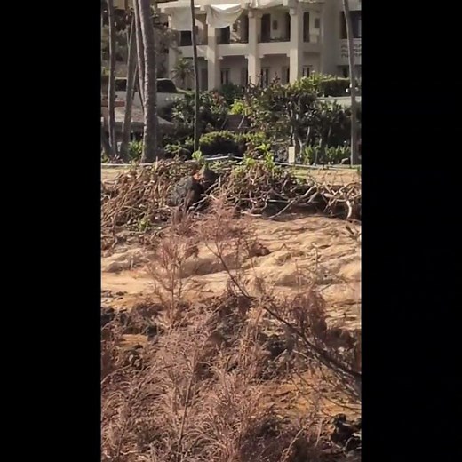 Kauai "Storm Nolo" & we're still cleaning up Hurricane Lowell damage