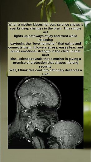 A Kiss That Shapes the Brain #MotherLove #Neuroscience