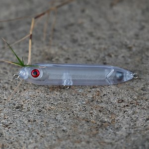 Watch Unpainted Fishing Lure Blanks on Amazon Live