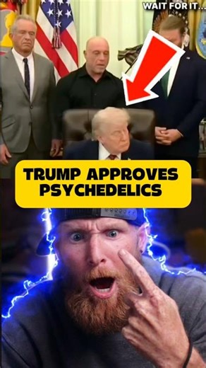 Trump Approves Psychedelics 🔥🇺🇸