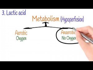 Indicators of oxygen delivery, Hemodynamics Part 3