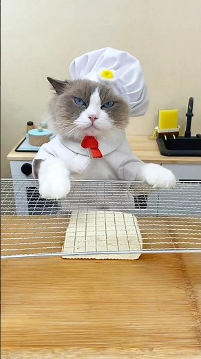 🍳 Dive into kitchen hacks with Puff and uncover the fun side of cooking! #ThatLittlePuff