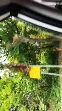 Bognor Regis Butlins ￼