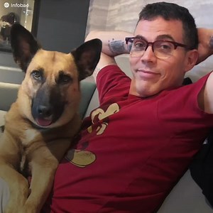 232K views · 1.9K reactions | Steve-O from Jackass traveled to Peru...