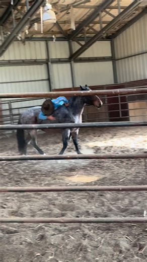 Seven has come such a long way!! From rodeo bucking horse, to auction (pregnant), to kill pen, to quarantine, to halter training, to us (where she rested and gave birth to Swayze), and now to @Coby Nix to learn to ride! We are so proud of her progress, she’s been through a lot and we are thankful she’s getting her second chance! Coby Nix | WarAngel Farms Rescue