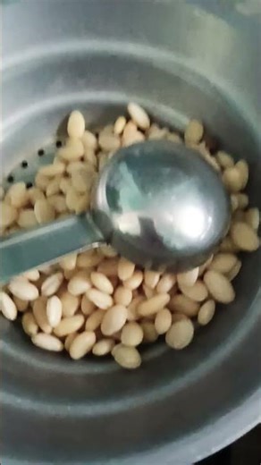 மொச்சை பயிர் #shortsfeed