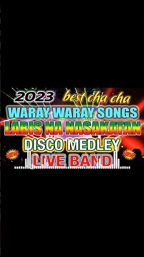 LABIS NA NASAKATAN DISCO MEDLEY - WARAY WARAY SONG | ZALDY MINI SOUND - ZALDY MINI STUDIO