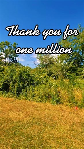 Celebrating One Million Followers on TikTok