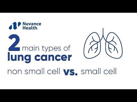 What Are the Two Types of Lung Cancer? Small Cell vs. Non-Small Cell