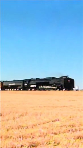 UP 844 FLYING towards Denver near Nunn CO.
