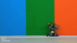 A Chameleon Robot That Can Quickly Change Color to Blend In With Different Backgrounds