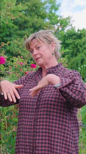 Top tip for growing healthy roses | Country Living UK