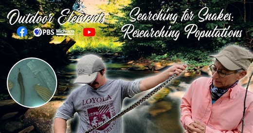 Outdoor Elements:My Favorite Place