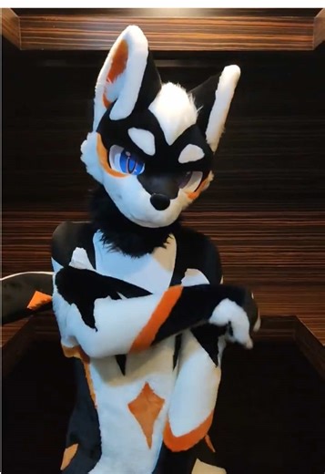 This is so cute! 🥰 Just another layer underneath. #fursuit #fursuiter #fullsuit #costume #furry #furryfandom #fluffy #fursuitfriday #sweaty #hot #sexy😍🤤😍 #kemono #kemonofursuit #petsuit #morphsuit #underarmour #layering #layers