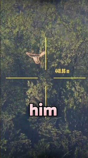 We Found a RARE WOODCOCK in SCOTLAND!!!