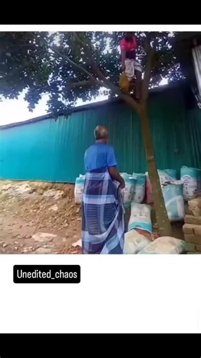 Unedited_chaos on Instagram: "😂😂😂 #trending #trendingreels #fypppppppppppppppppppppppppppppppppppppp #fifa #foryou #fyp #explorepage #explore #vibe #vibes #viral"