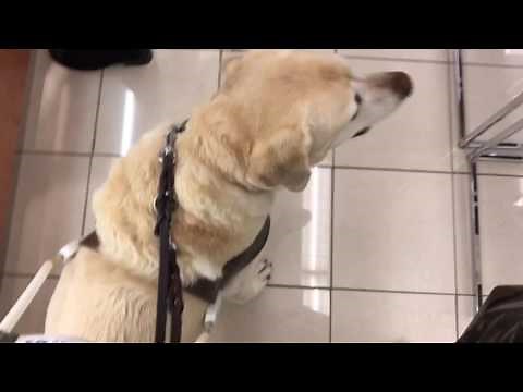 Many people do not know how to give directions to a blind person. Watch and learn.