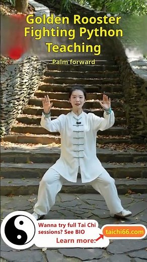 Taiyi Dragon Boxing: Golden Rooster Python Practice for Core Strength! #taichi #TaiChiLessons