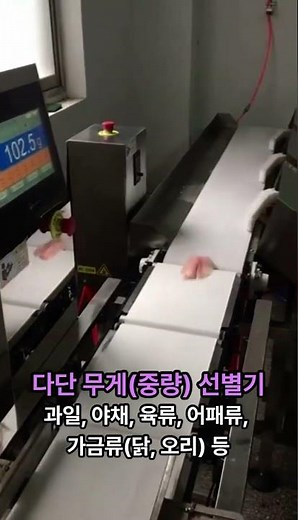 🥩🍇🦐🦆 육류•과일•어패류•가금류 자동 다단선별 이렇게 합니다! 🚀⚙️ 다단 중량 선별기 실제 작업 영상 | Multi Weight Sorting Machine