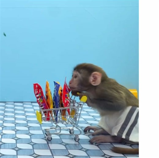 Top Fun Children's Toys for Playtime