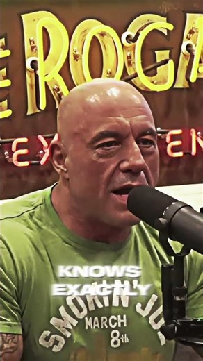 Joe Rogan and David Cross Discuss Brain Communication Technology and Thought Transfer