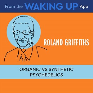 11K views · 202 reactions | Sam Harris and Roland Griffiths discuss why synthetic psychedelics are ripe for an explosion of investigation. Find more conversations like this on WakingUp.com | Sam Harris | Facebook