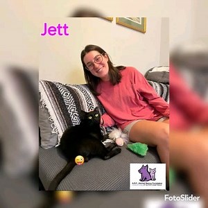 Happy gotcha day! Falling into fall while falling in love. Have a great life!❤️ | ARF - Animal Rescue Foundation